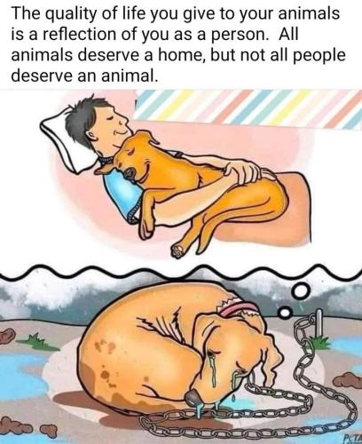 ec253712729eeb668fc5747fe560e71f