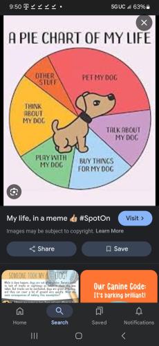 Screenshot_20250521_095006_Google