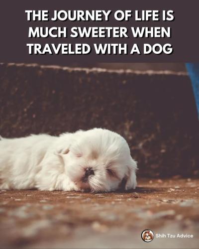 FB_IMG_1746122578648