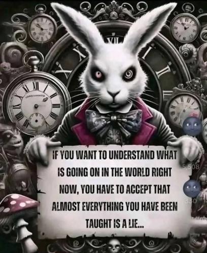 FB_IMG_1747445386748