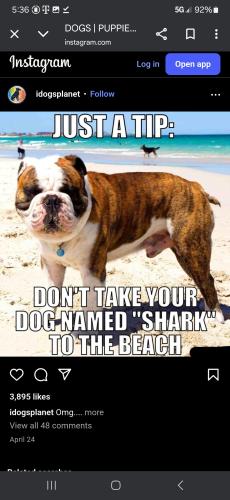 Screenshot_20250528_053646_Chrome