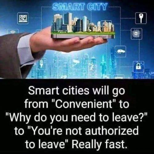 photo_2025-05-17_16-29-56