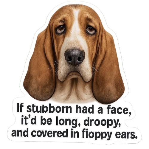 FB_IMG_1747155285879