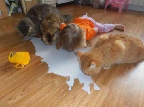 FB_IMG_1558449643428