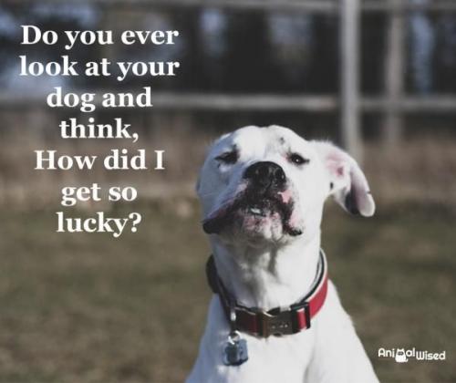 71cced05070580703746c57238d7566c