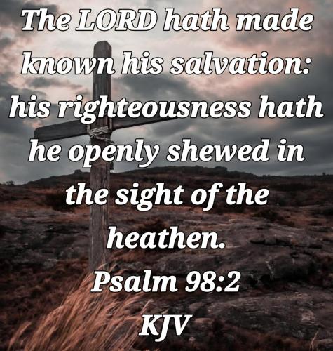 607b8342-0a65-4496-ade2-d424bf1431cf