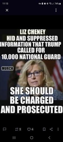Liz Cheney 2