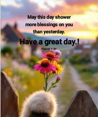 494973372_721128320268621_4392444618164996675_n