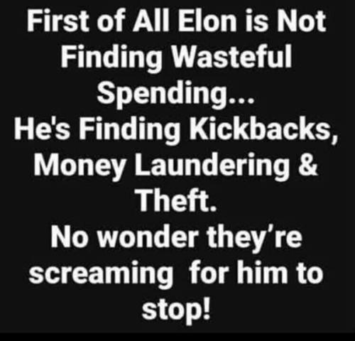 DOGE FRAUD AND MONEY LAUDERING