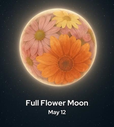 496846330_1239451747792755_5517172899633927218_n
