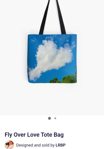 Screenshot_20250528_135128_Brave