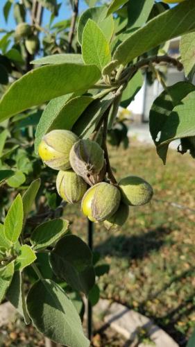 c4ff0e9d-4d17-4e9b-80b7-ce2ac94b8db6