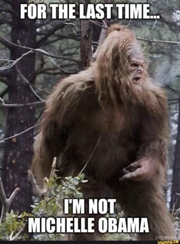 image_C0CA1ECE-CEC5-4F59-817A-4F95CD811446