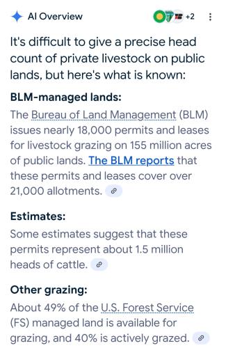 Screenshot_20250520_115403_Google(1)