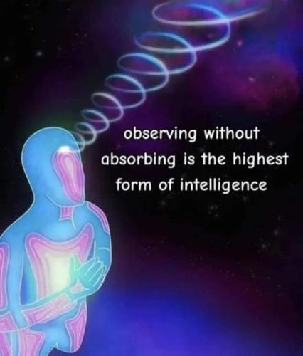 e4621e3d9b15d5004beb968d686374f5