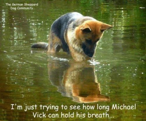 25056b0111b2544e0c695a901e3d67b2