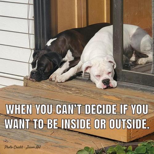 FB_IMG_1748466978101