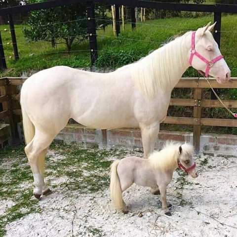 FB_IMG_1557149694146