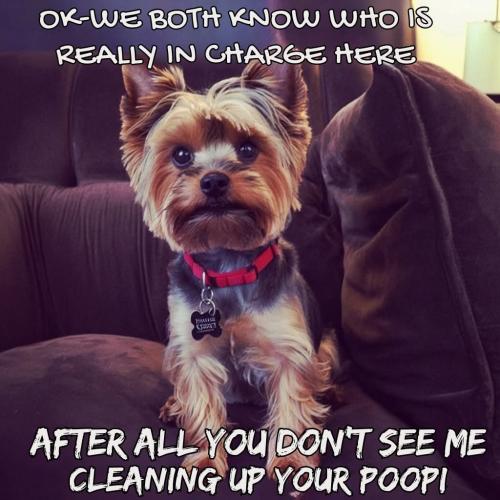 FB_IMG_1746229857521