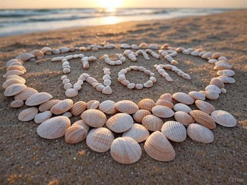 FB_IMG_1747779813567