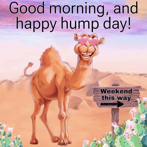 1-Hump Day