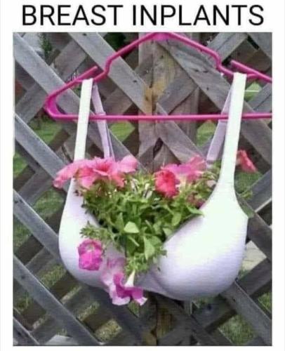 FB_IMG_1746577887535