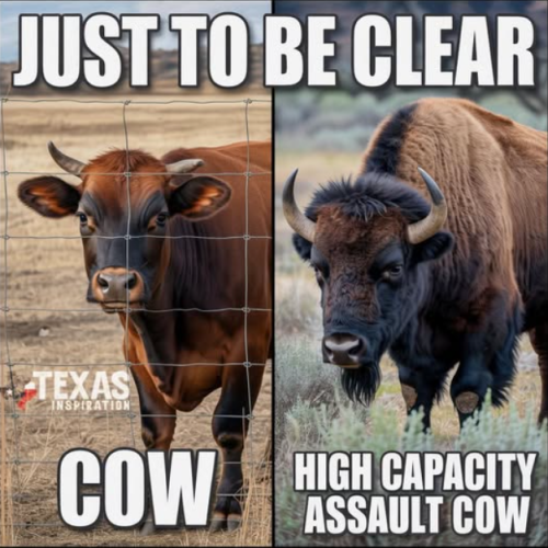 Screenshot 2025-05-12 110926