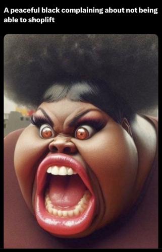 IMG_20250511_175427_195