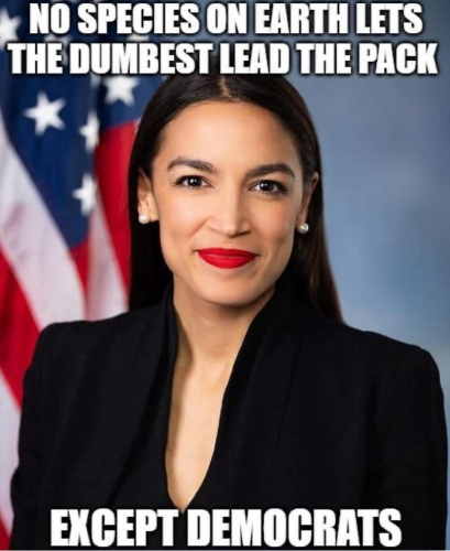 Screenshot 2025-05-09 075653