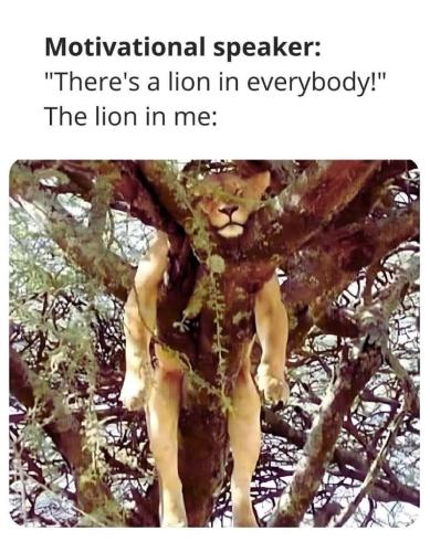 168d5314-b330-4b80-969c-6a46ca0fea83