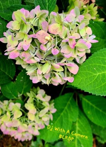 Screenshot_20250515_072832_Gallery