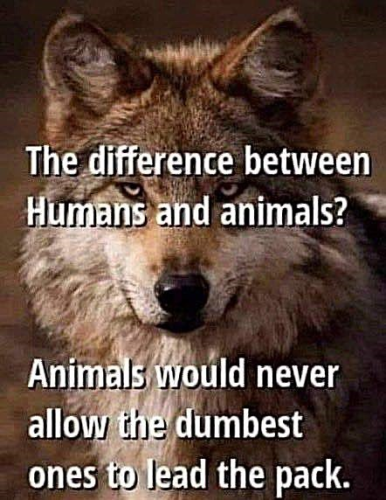 ef8ea7d63ca1f05510a4b6b9316d1cfb