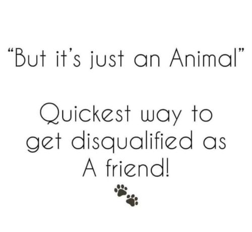 535669ace26585fd87d0dfb65f4357db