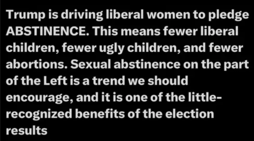 image_2025-05-11_083201762