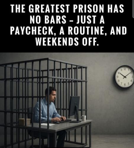 FB_IMG_1747008967552