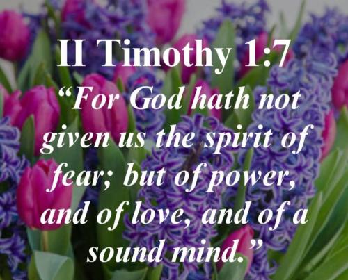 b0529dc9-8dbf-4cb3-be03-0b9051388b0f