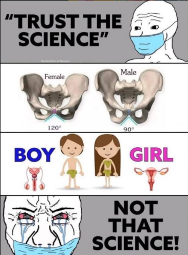 Screenshot 2025-03-18 131347