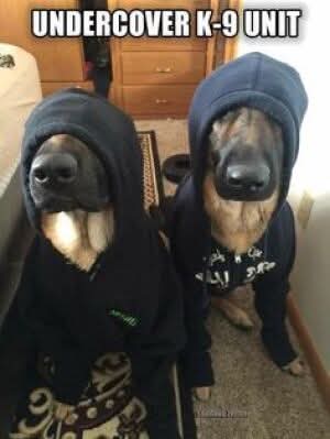 FB_IMG_1746487662140