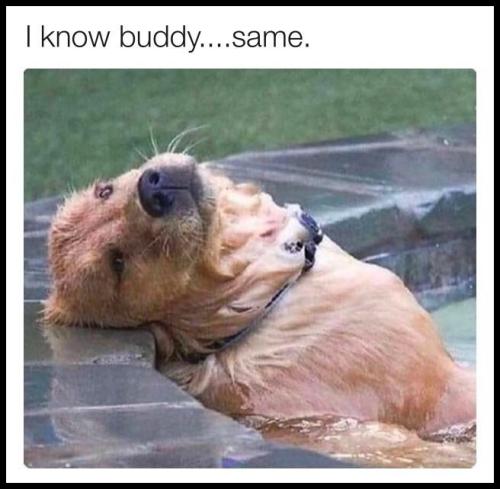 c6cab890d6fd2abdb73312243236e3cf