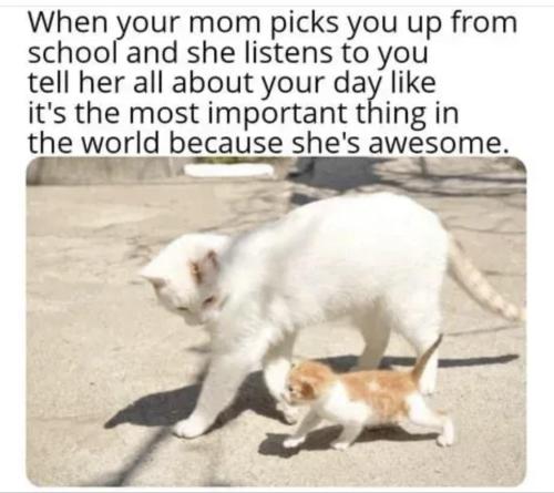 image_E328661C-1F75-4C43-A03F-2FAEB2DA79C0