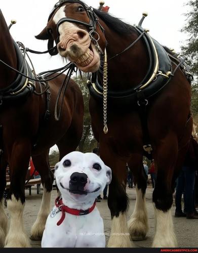 b6cf7e4c416de1ce7c8dac95fdf9b9125132cc04d935ffa32d2909d5427d80db_1