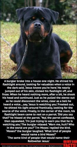 313b10af-e664-4668-bf50-d88b773734d8