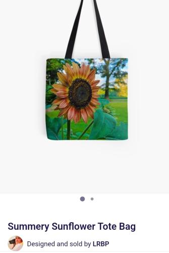 Screenshot_20250503_162115_Brave