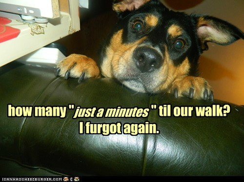 just-a-minute-means-one