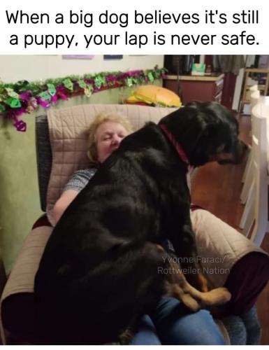 FB_IMG_1747329830761