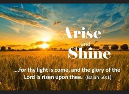 Screenshot_20250503_115641_Brave