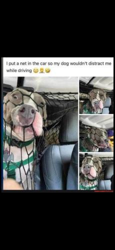 Screenshot_20250521_072552_Photos