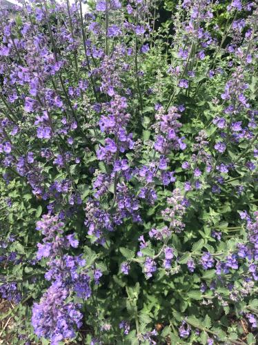 B94939E6-8454-46B4-BE8D-C9A23647B0DF