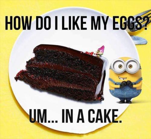 FB_IMG_1557707009539