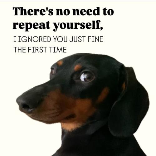 FB_IMG_1746487271006